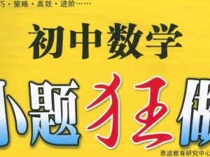 小题狂做 巅峰版数学苏科版7-9年级上册