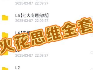 火花思维L0-5级全套视频网课