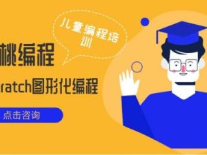 《核桃编程L1-L8全套》视频课+源代码+程序包+考级资料