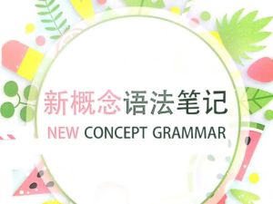 手绘版新概念语法笔记PDF下载