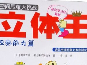 《空间思维大挑战：立体王》中文版共6册PDF日本空间思维教材
