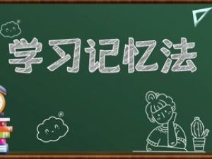 【徐哥】全科高效学习方法记忆法视频