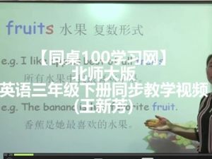 【同桌100学习网】三年级起点小学英语三年级下册同步教学视频(王新芳)北师大版