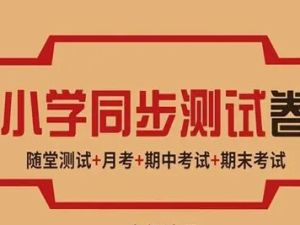 全网最全小学试卷合集-各省各版本都有