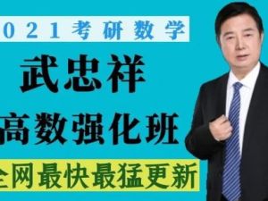 【武忠祥】高等数学强化课（教学视频）