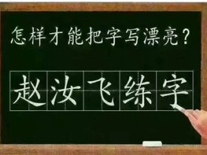 赵汝飞练字-笔画视频课程共32集