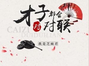 《平说文学：才子都会对对联》古诗词学习课程全165集音频mp3