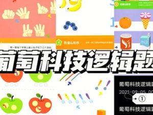 葡萄科技逻辑题卡1-3阶共3册PDF