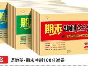 2024最新的期末试卷类同步教辅汇总价值2万元