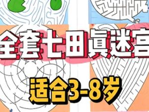 七田真迷宫图《欢乐迷宫》+《迷宫之王》共2册PDF