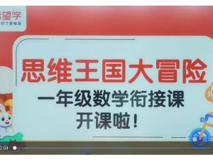 希望学小学数学 数学思维王国大冒险（秋季衔接课） 网课视频