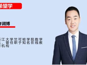 2024希望学许润博初二数学目标S+创新班网课视频