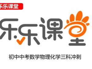 乐乐课堂初中中考数学物理化学三科冲刺课程 196讲视频