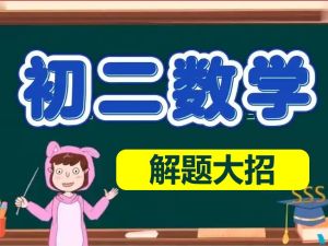 初中初二数学八年级大招网课视频