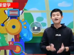 2023希望学杨景羽春下小学二年级数学S网课视频