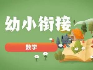 小鱼老师12堂幼小衔接数学启蒙课