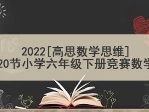 2022[高思数学思维]20节小学六年级下册竞赛数学同步课程