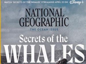 2022《National Geographic 国家地理》