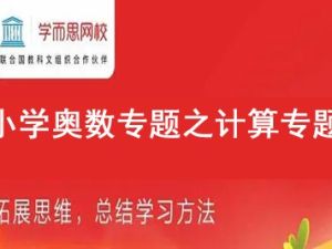 学而思网校《小学奥数专题之计算专题》16个类别视频课程共200多集
