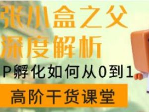 陈格雷《张小盒之父深度讲解，IP孵化如何从0到1》如何孵化超级IP