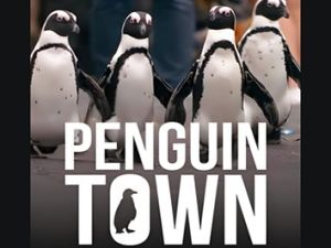 Netflix纪录片《企鹅小镇 Penguin Town》英文版全8集