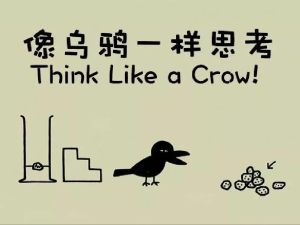 像乌鸦一样思考Think Like a Crow全20集视频下载