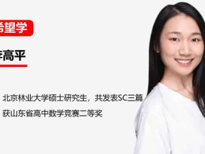 2024希望学李高平小学四年级数学S班平春下网课视频