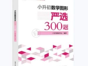 小升初数学图形:严选300题PDF电子版文档下载