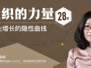 张丽俊《组织的力量28讲》企业增长的隐性曲线