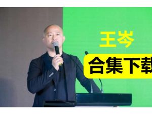 王岑视频合集下载