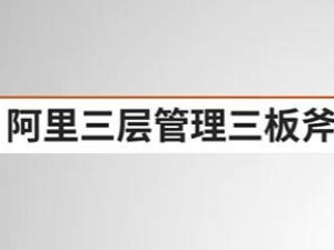 《阿里三层管理三板斧》战略性的组织执行力