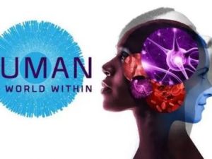 《人类：体内的世界 Human: The World Within》英文版全6集下载Netflix纪录片