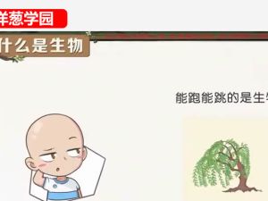 洋葱学园2023小学自然课程(科学)(1-6年级通用)网课视频