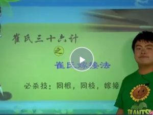 2023崔兆玉五年级奥数74讲