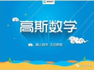 高斯数学能力提高强化资料（人教版）