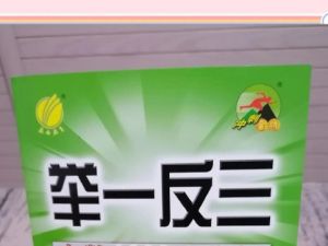 2026年高考数学一轮复习 举一反三专练（新高考专用）电子版PDF