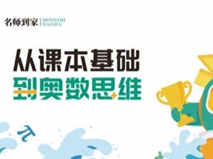 名师到家 6年级数学视频课 网课视频