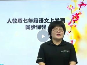 初中初一语文人教版（部编人教版）网课视频