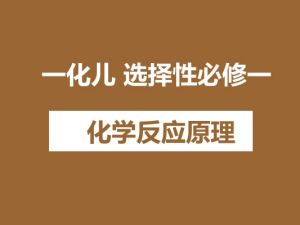 一化儿 选择性必修一 化学反应原理 网课视频
