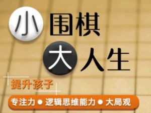 凯叔少儿围棋启蒙课 26课全