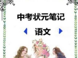 2022中考状元笔记(语文)