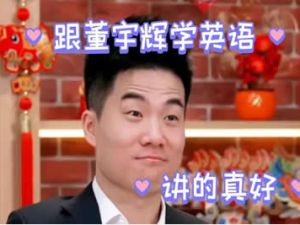 董宇辉高中高考英语（春季班网课视频）(目标985)