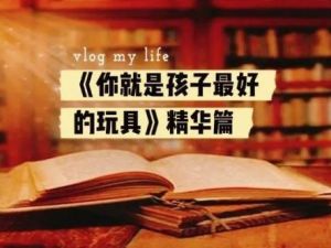 《你就是孩子最好的玩具》共1册PDF儿童早教教程