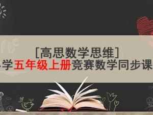 [高思数学思维]小学五年级上册竞赛数学同步课程