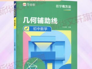 初中中考数学几何变形题归类辅导专项训练word帮