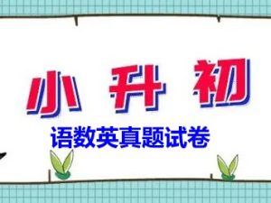 2023小升初招生语数英真题试卷94套集锦