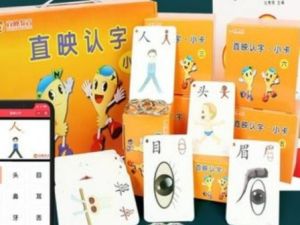 儿童汉字识字启蒙《直映认字卡片》共1512张汉字卡片JPG格式
