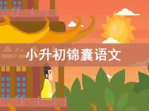 乐乐课堂系列-小升初锦囊语文动画视频共27集