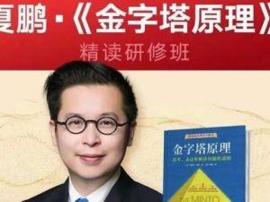 【夏鹏】《金字塔原理》精读研修班（视频）