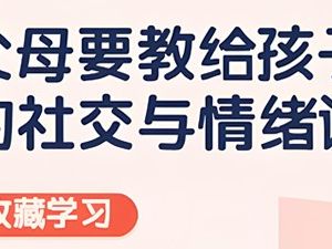 安心：父母要教给孩子的社交与情绪课